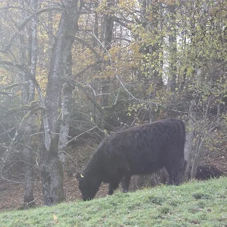 아파트 Alpenferienwohnungen Wiesenlehen
