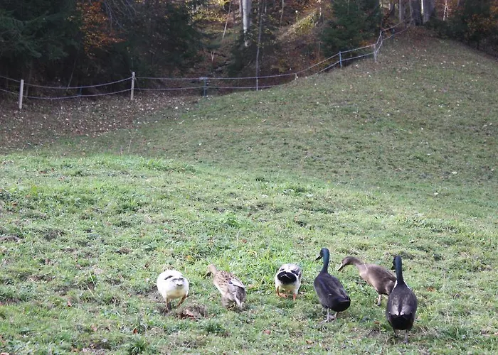 Alpenferienwohnungen Wiesenlehen Daire *