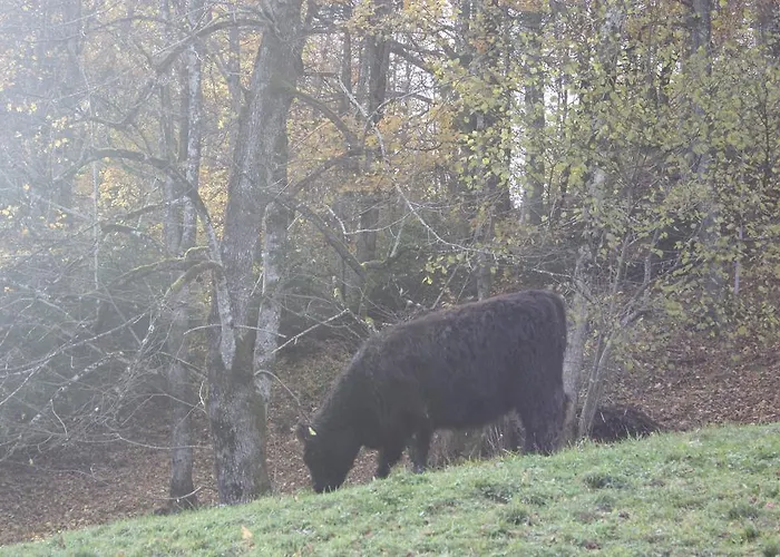 Daire Alpenferienwohnungen Wiesenlehen