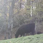 شقة Alpenferienwohnungen Wiesenlehen
