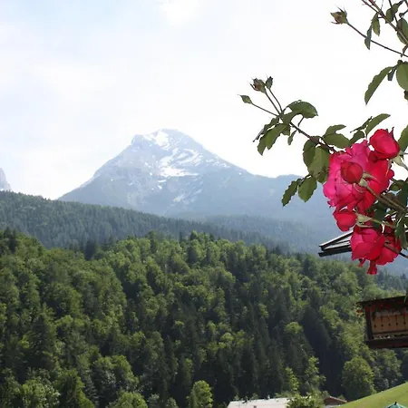Apartamento Alpenferienwohnungen Wiesenlehen *
