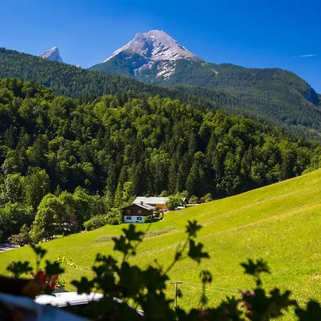 Apartment Alpenferienwohnungen Wiesenlehen *