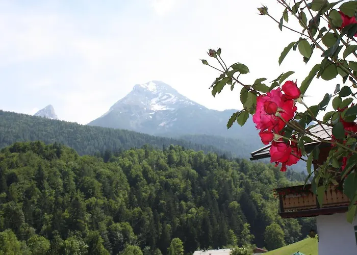 Apartament Alpenferienwohnungen Wiesenlehen *